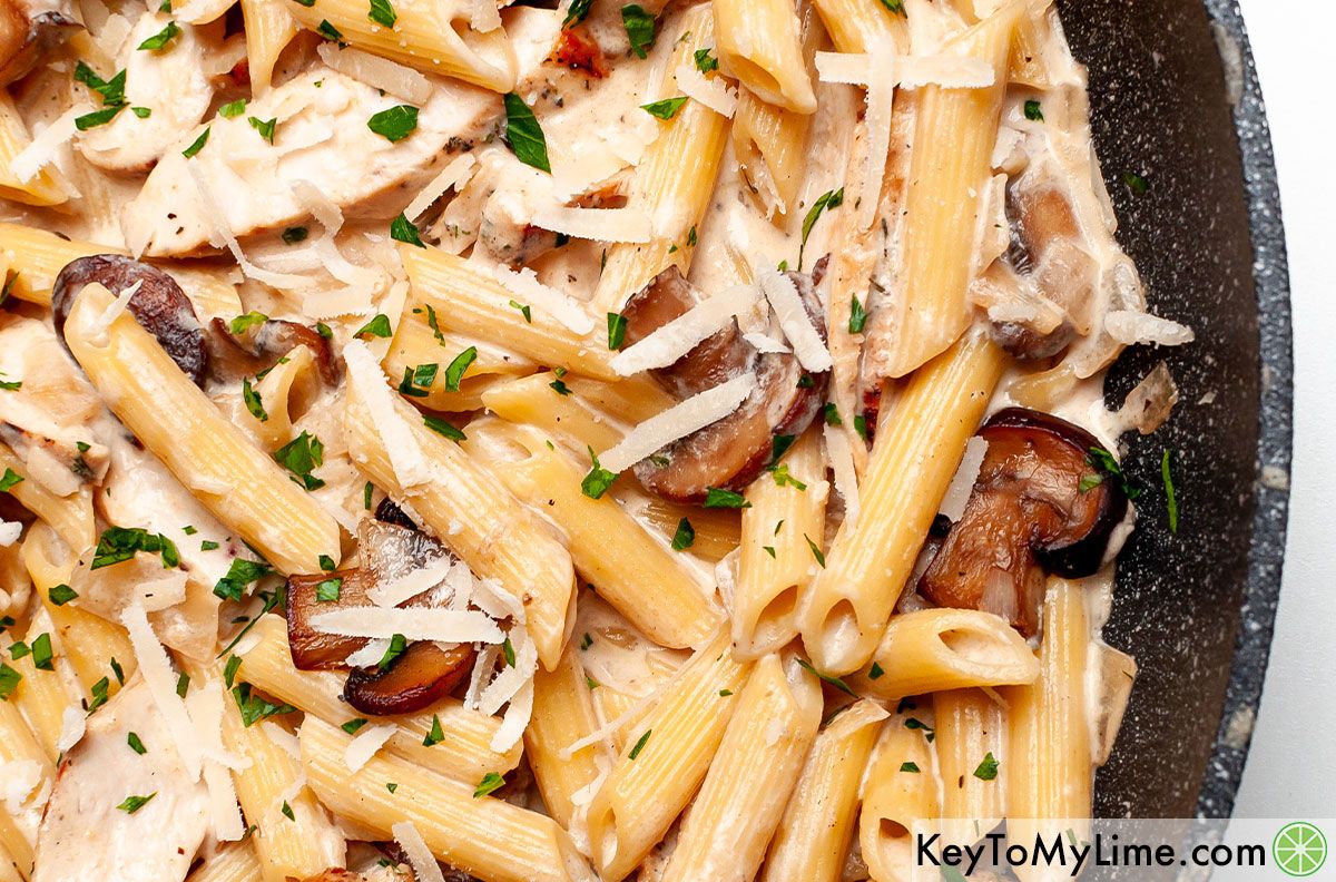 A close up image of creamy chicken mushroom pasta.