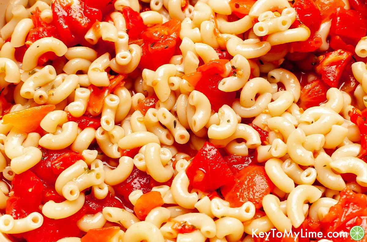 A close up image of macaroni and tomatoes.
