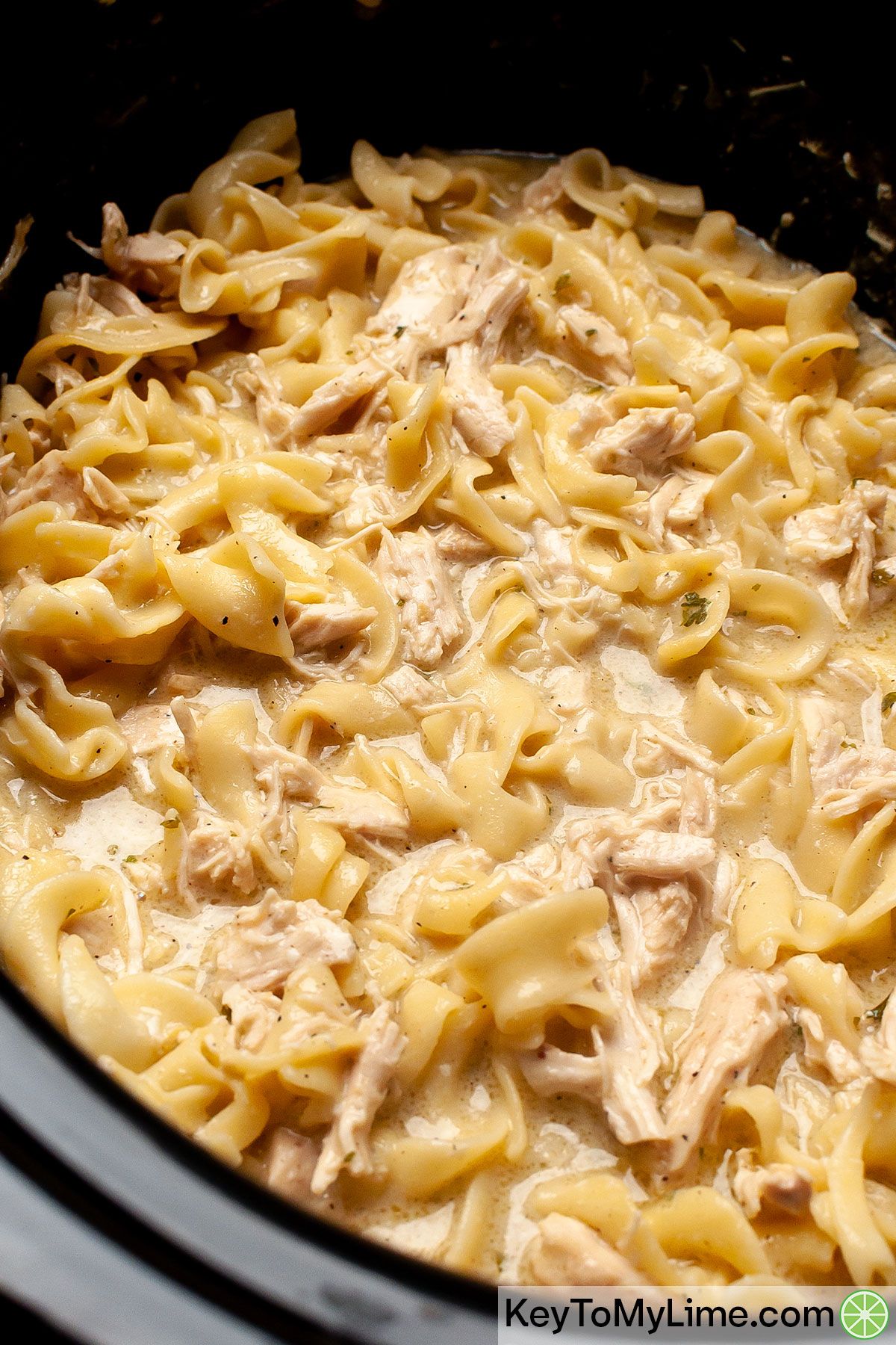 A close up image of the texture of chicken and noodles.