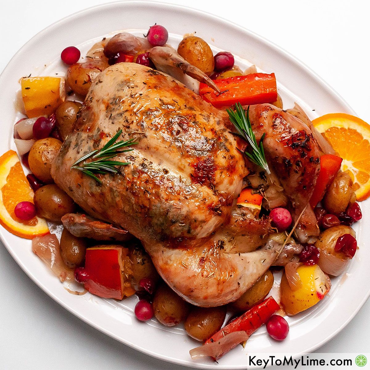 Christmas Dinner Recipe Ideas - Plain Chicken