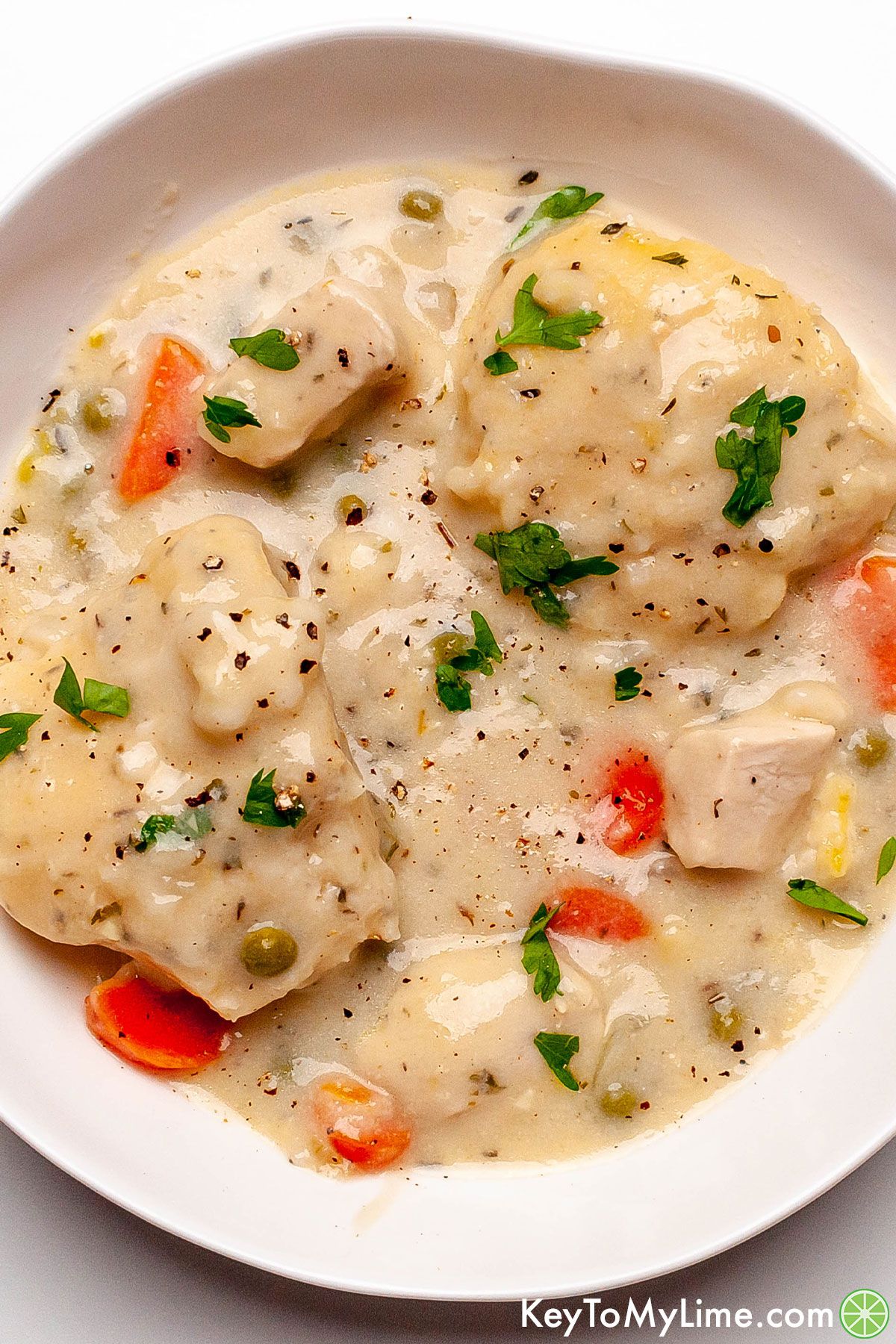 An overhead image of a bowl of Bisquick chicken and dumplings.