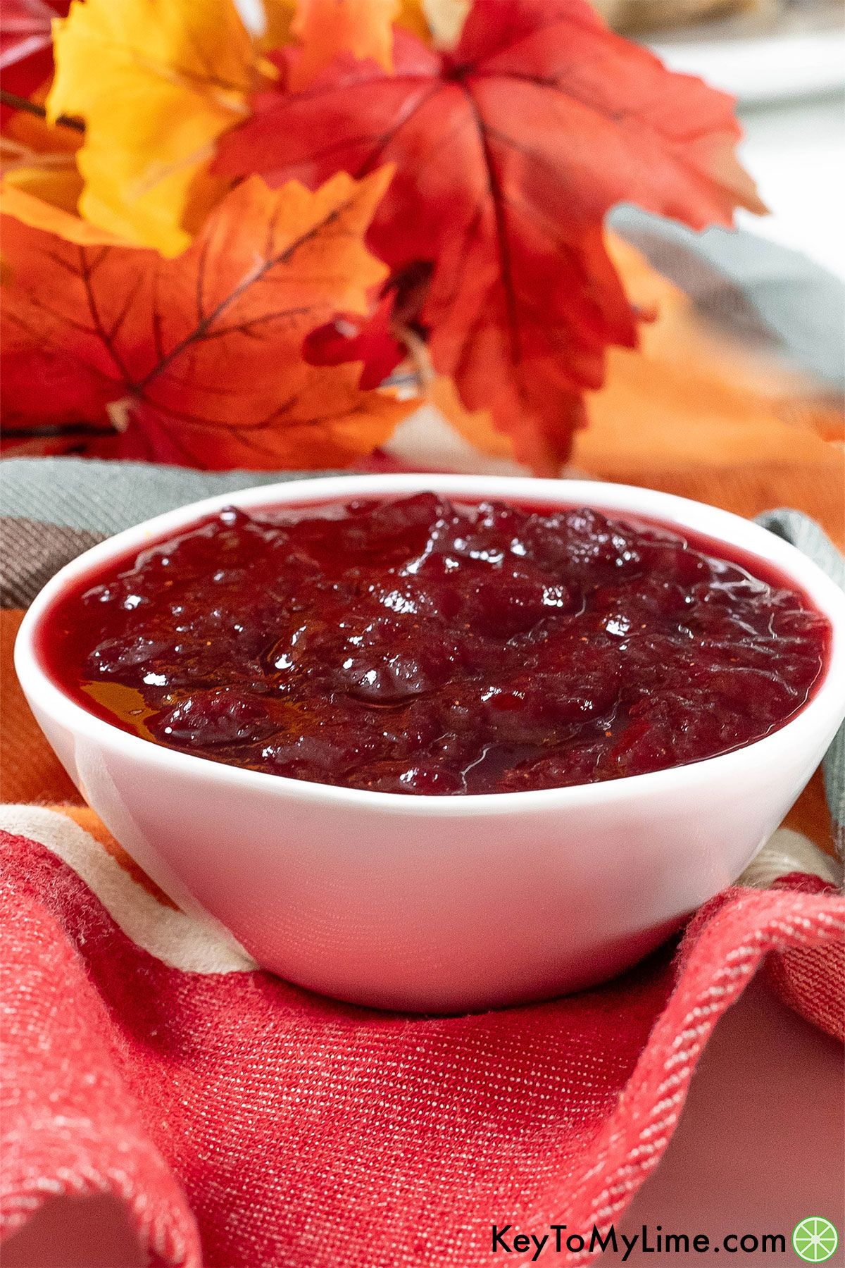 A side shot image of cranberry sauce in a small white bowl on top of a colorful napkin.
