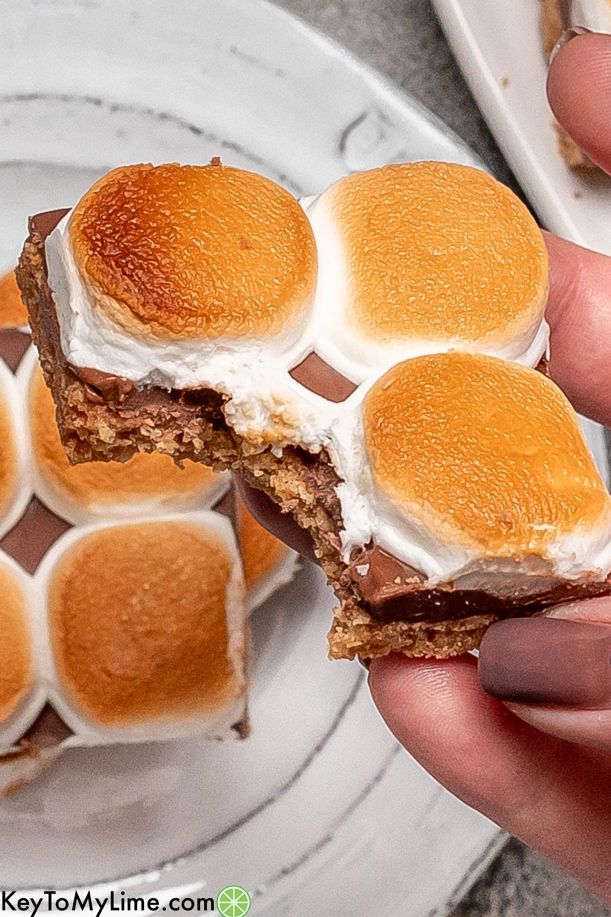A s'more bars with a bite missing showing the inside texture.