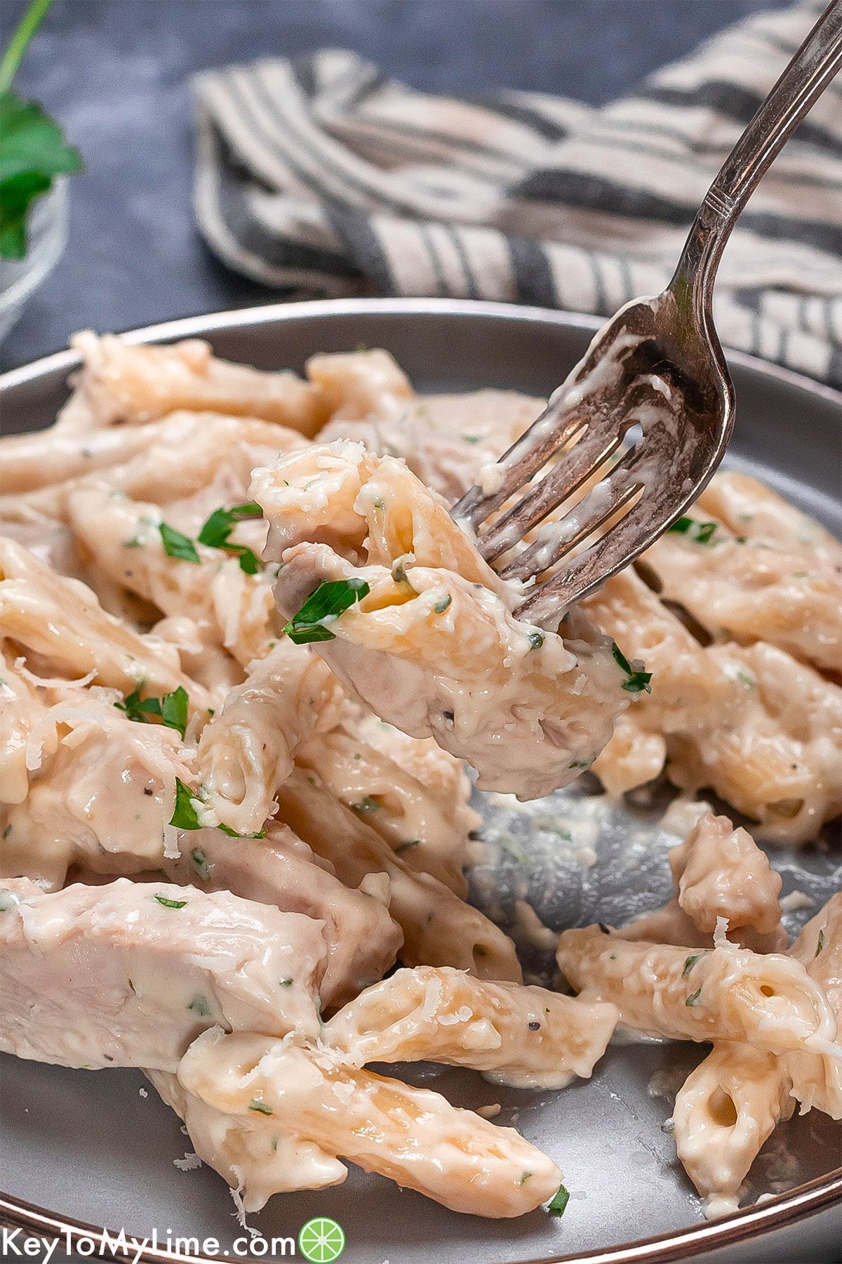 A close up image of chicken pasta on a fork garnished with fresh parsley.