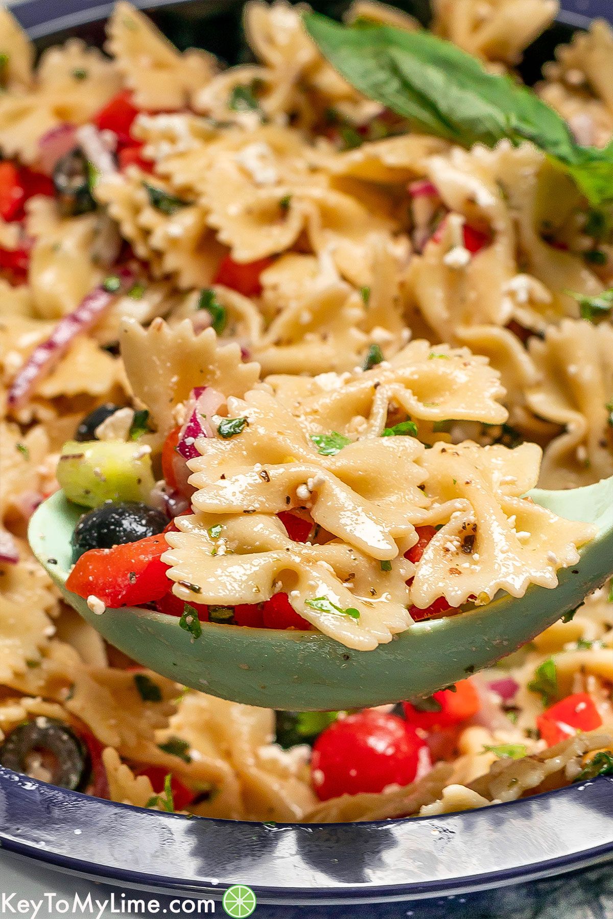 A close up image showing the texture of the pasta salad on a serving spoon.
