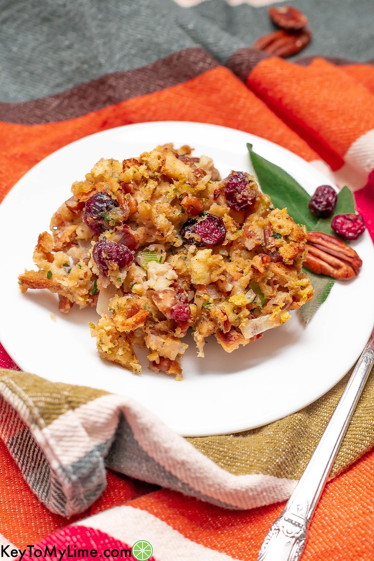 A serving of baked stove top stuffing on a plate garnished with safe, cranberries, and pecans.
