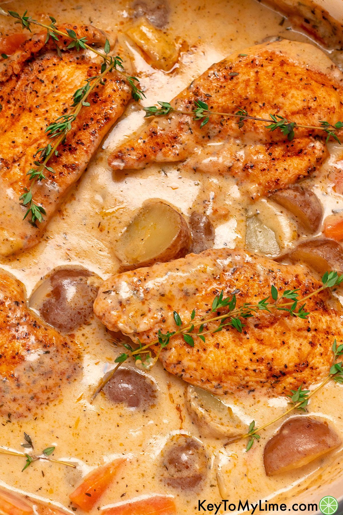 A close up of seared chicken breast showing the creamy texture of the sauce with fresh thyme throughout.